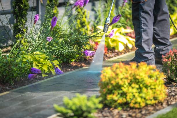 Best Sidewalk and Walkway Cleaning  in Athens, IL